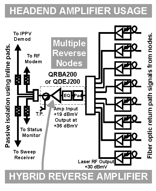         Figure 9.
  CLICK for Larger
PRINTABLE Image